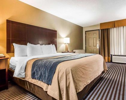 Comfort Inn & Suites Ballpark Area - image 3