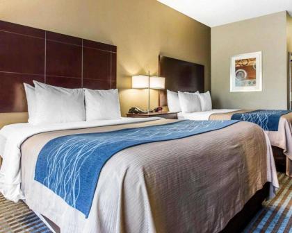 Comfort Inn & Suites Ballpark Area - image 7