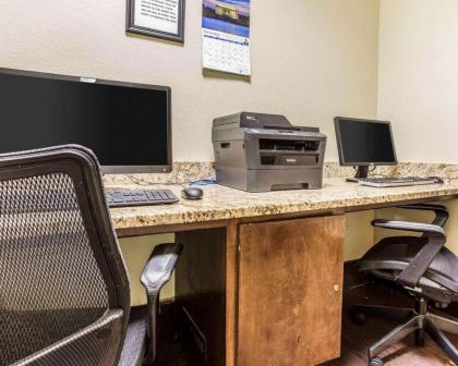 Comfort Inn & Suites Ballpark Area - image 8