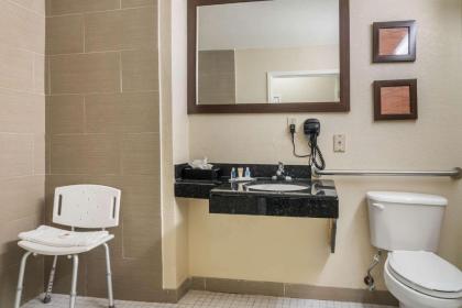 Comfort Inn & Suites Galleria - image 10