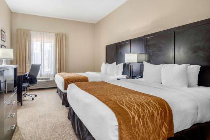 Comfort Inn & Suites Galleria - image 11
