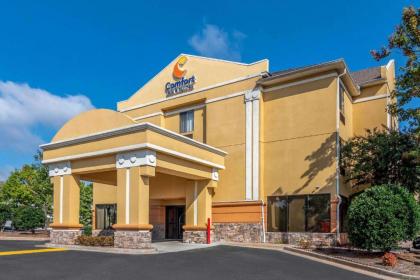 Comfort Inn & Suites Galleria - image 2