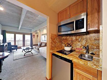 Timberline Condominium Studio Unit 214 - image 2