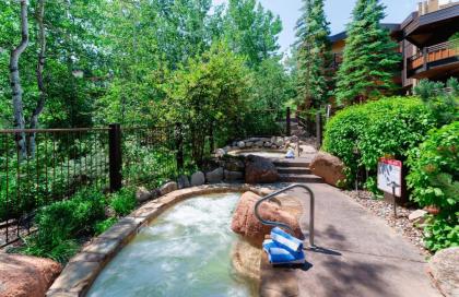 Laurelwood Condominiums 402 - image 8