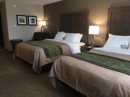 Comfort Inn & Suites Snyder - image 12