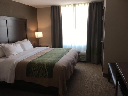 Comfort Inn & Suites Snyder - image 14