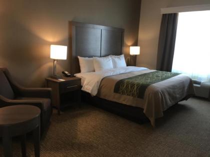Comfort Inn & Suites Snyder - image 3
