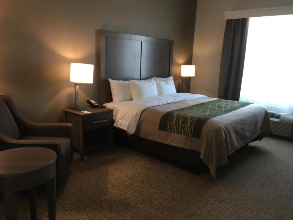 Comfort Inn & Suites Snyder - image 3