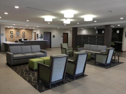 Comfort Inn & Suites Snyder - image 8