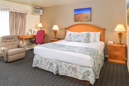 Svendsgaard's Lodge- Americas Best Value Inn & Suites - image 12