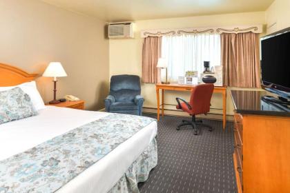 Svendsgaard's Lodge- Americas Best Value Inn & Suites - image 15