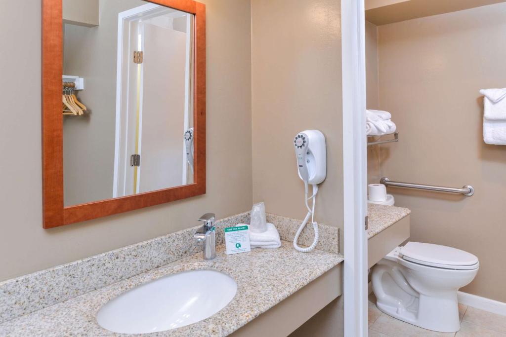 Svendsgaard's Lodge- Americas Best Value Inn & Suites - image 7