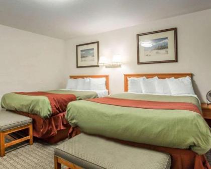 Rodeway Inn Newport - image 2