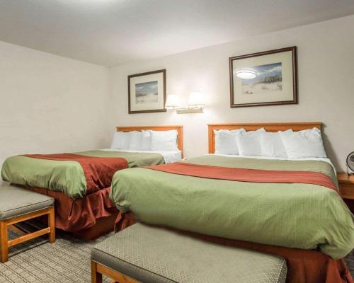 Rodeway Inn Newport - image 2