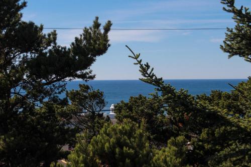 Blue Pacifica - image 2