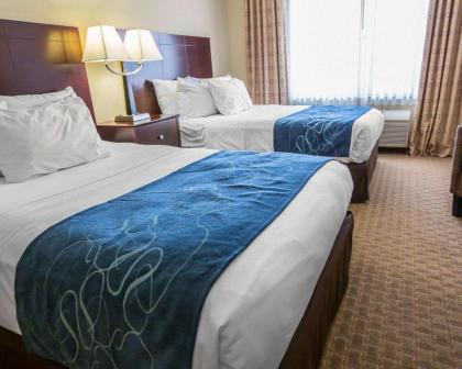 Comfort Suites University Area Notre Dame-South Bend - image 4