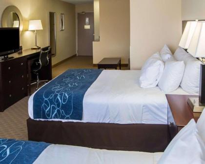 Comfort Suites University Area Notre Dame-South Bend - image 5