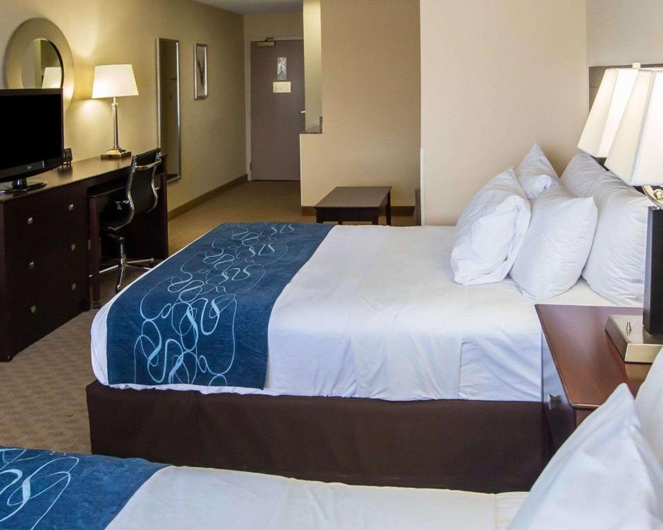 Comfort Suites University Area Notre Dame-South Bend - image 5