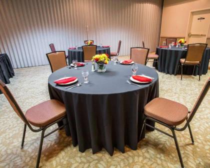 Comfort Suites University Area Notre Dame-South Bend - image 6