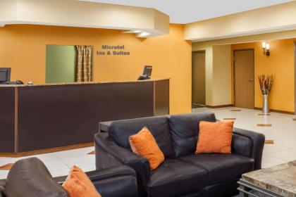 Microtel by Wyndham South Bend Notre Dame University - image 13