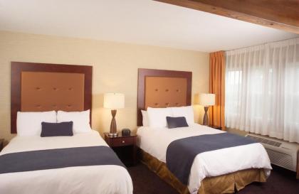 Ivy Court Inn and Suites - image 15