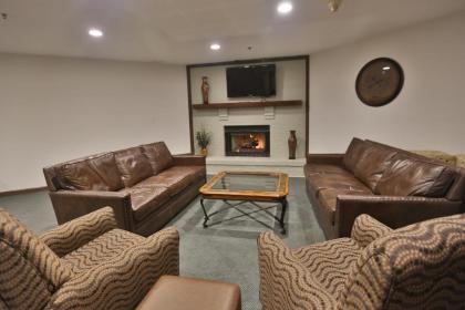 Ivy Court Inn and Suites - image 7