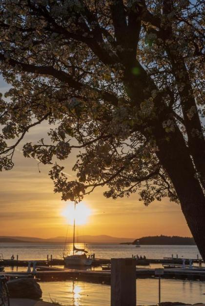 DoubleTree by Hilton Hotel Burlington Vermont - image 19