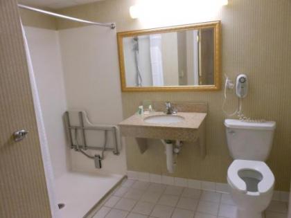 Holiday Inn South Burlington - image 14