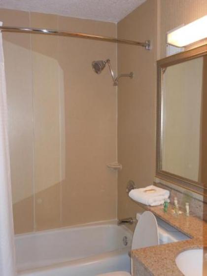 Holiday Inn South Burlington - image 7