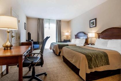 Comfort Inn & Suites South Burlington - image 12