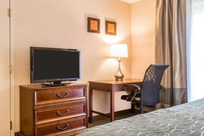 Comfort Inn & Suites South Burlington - image 14