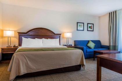 Comfort Inn & Suites South Burlington - image 15