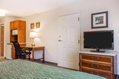 Comfort Inn & Suites South Burlington - image 2