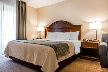 Comfort Inn & Suites South Burlington - image 3