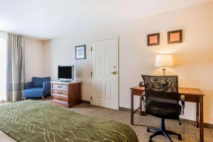 Comfort Inn & Suites South Burlington - image 4