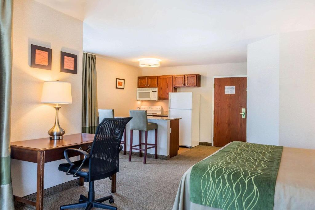 Comfort Inn & Suites South Burlington - image 5