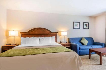 Comfort Inn & Suites South Burlington - image 6