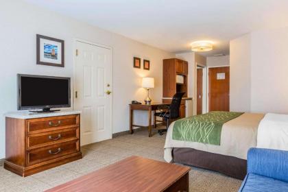 Comfort Inn & Suites South Burlington - image 7