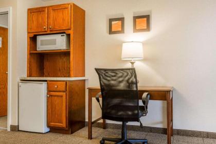 Comfort Inn & Suites South Burlington - image 8