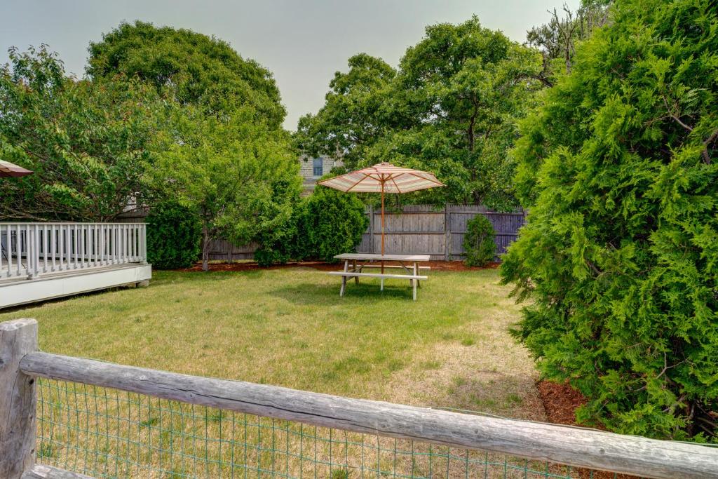 South Chatham Sunshine - image 5