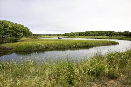 Villa Fairview - image 8