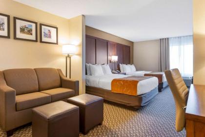 Comfort Suites South Haven - image 10