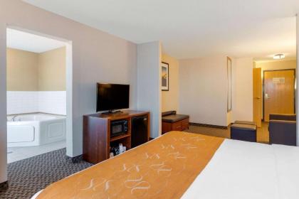 Comfort Suites South Haven - image 11