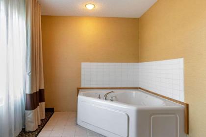 Comfort Suites South Haven - image 12