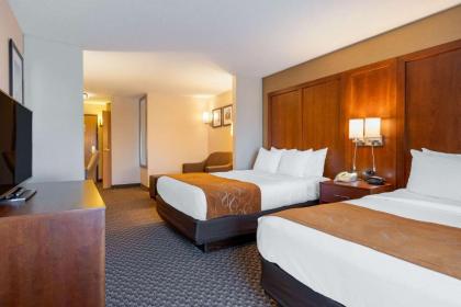 Comfort Suites South Haven - image 13