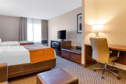 Comfort Suites South Haven - image 14