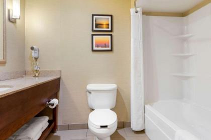 Comfort Suites South Haven - image 15