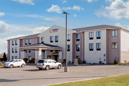 Comfort Suites South Haven - image 4