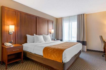 Comfort Suites South Haven - image 6