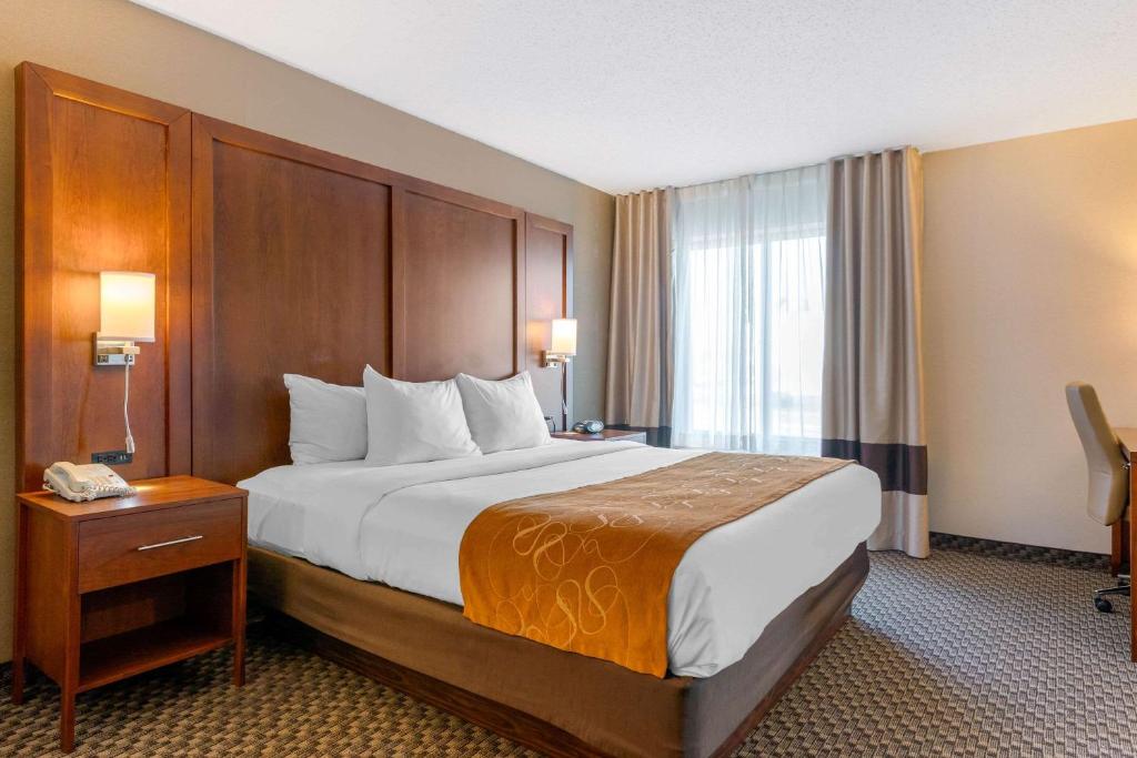 Comfort Suites South Haven - image 6